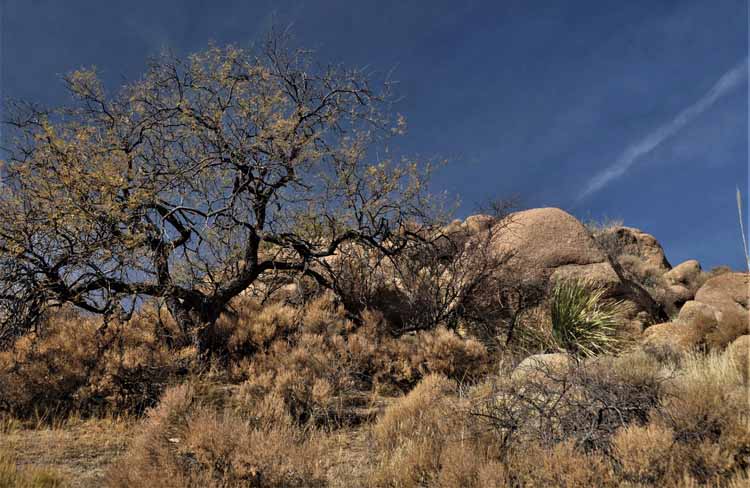 boulders